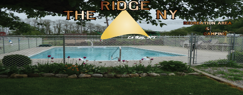 "Our Inground Pool"